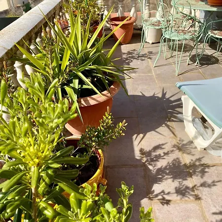 Maison Mediterraneenne Proche Du Coeur De Ville, Avec Piscine 빌라 *