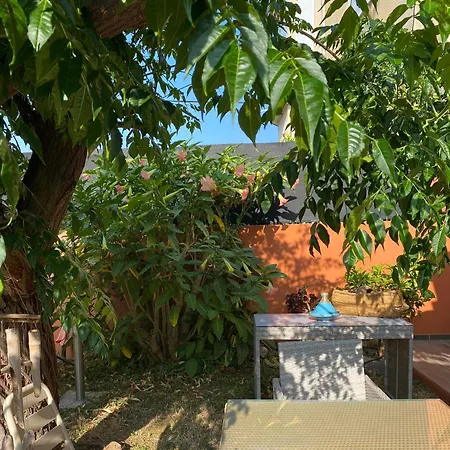 Maison Mediterraneenne Proche Du Coeur De Ville, Avec Piscine 빌라 *